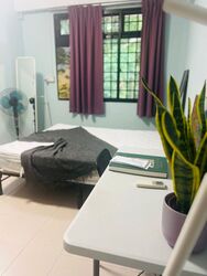 Wishart Road (D4), Apartment #439837041